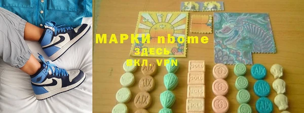 шишки Ельня