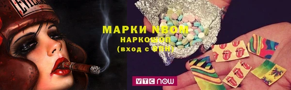 шишки Ельня