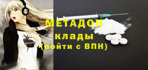 шишки Ельня