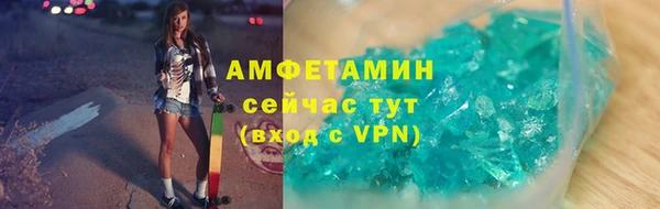 шишки Ельня
