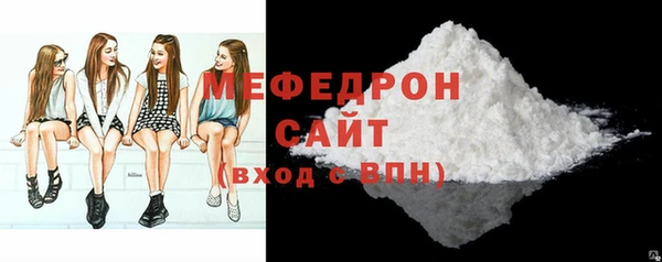 шишки Ельня