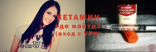 шишки Заволжск