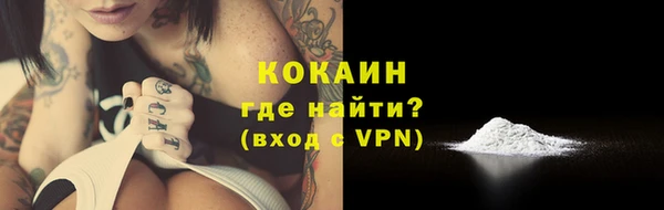 шишки Ельня