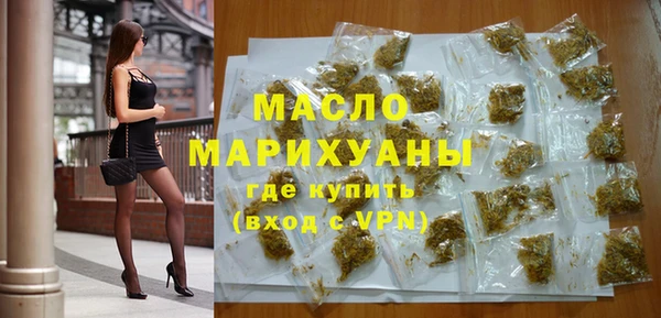 шишки Ельня