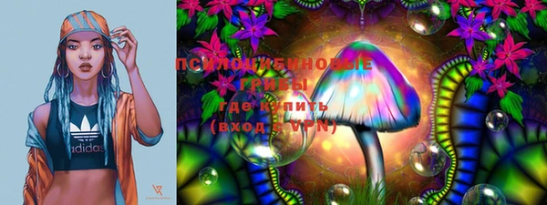 шишки Ельня