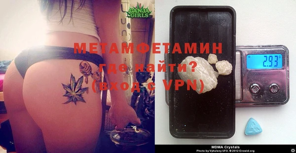 шишки Ельня