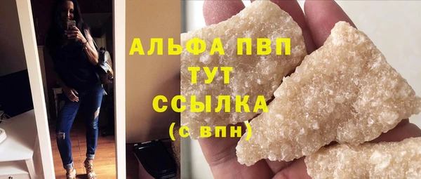 шишки Ельня