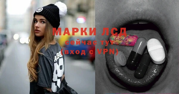 шишки Ельня