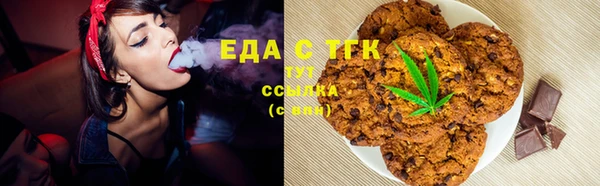 шишки Ельня