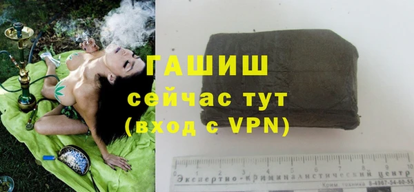 скорость Елизово
