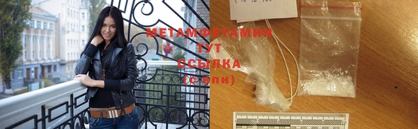 шишки Ельня